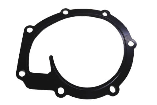 6924904 Прокладка водяного насоса