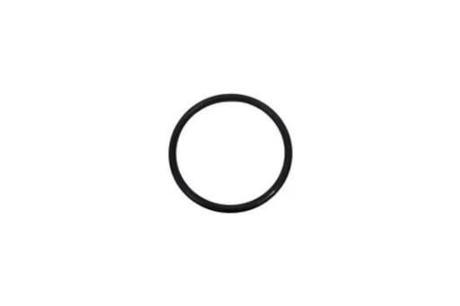 DK139718-0200HZ О-Кольцо