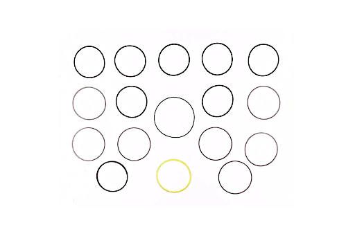 6664963 Кольцо уплотнительное